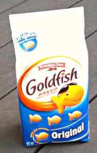 SB_Gold_Fish